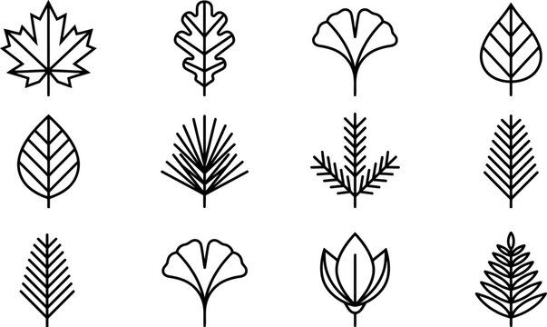 Set of twelve minimalist line art leaf icons featuring various botanical shapes and geometric foliage designs