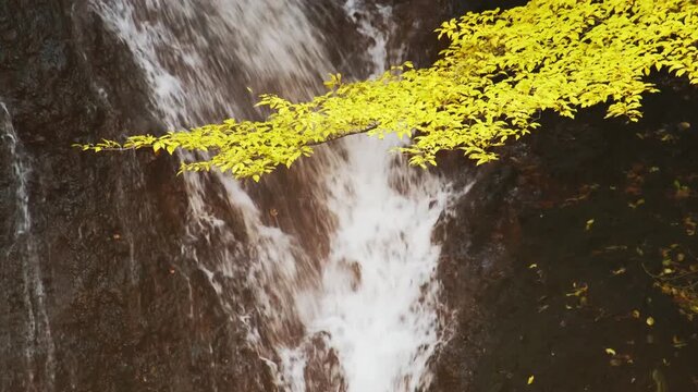 秋色に包まれた横谷渓谷の王滝