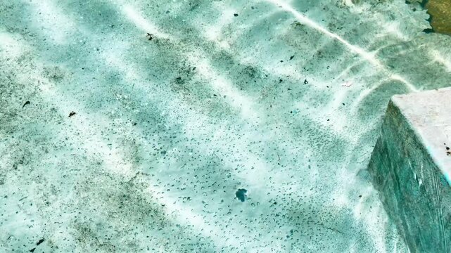 Crystal Clear Water Texture with Sunlight Ripples in Slow Motion