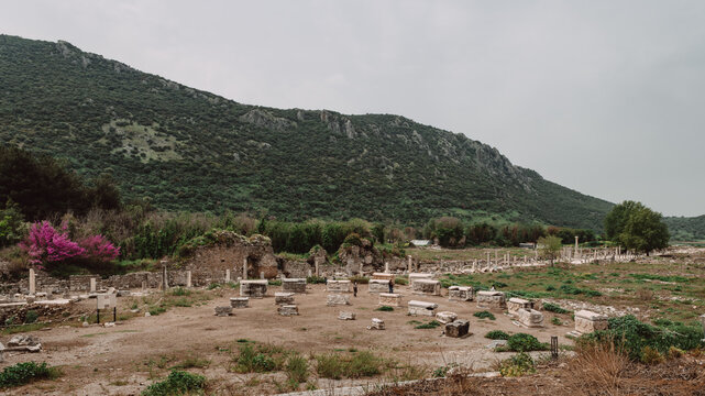 Ephesus izmir Turkiye roman ruins 