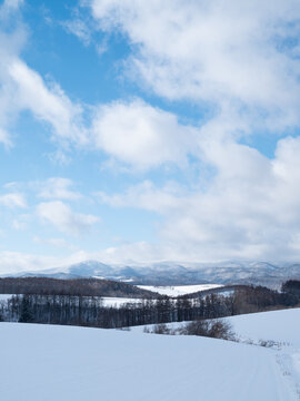 Snow-covered rolling hills and forest beneath a cloudy blue winter sky