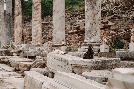 Ephesus izmir Turkiye roman ruins 