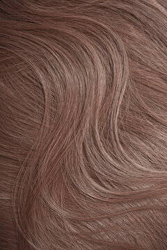 Blond hair close-up as a background. Women's long light brown hair. Beautifully styled wavy shiny curls. Hair coloring. Hairdressing procedures, extension.