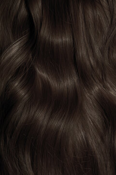 Brown hair close-up as a background. Women's long brown hair. Beautifully styled wavy shiny curls. Hair coloring. Hairdressing procedures, extension.