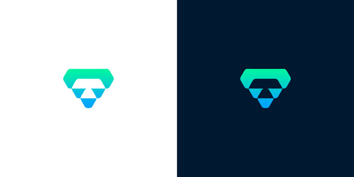 Geometric abstract logo design in two contrasting color schemes, featuring a stylized V-shape emblem with triangular elements and gradient hues