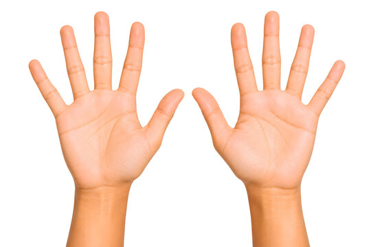 Two open human hands showing ten fingers. Palms facing forward isolated on white background.