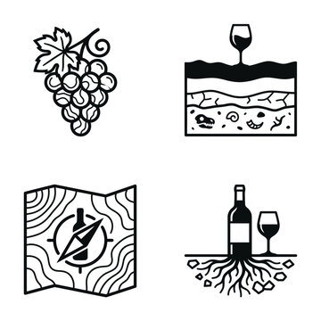 Illustration depicting stages of wine production and vineyard life cycle, including grape clusters, soil and fermentation, wine bottle, and plant roots with wine glasses