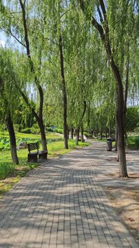 Shady footpath surrounded by trees and dappled sunlight in summer in Dongsheng Bajia Country Park, Beijing, China