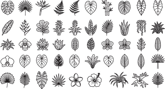 Tropical plant and exotic flower icon set in hand drawn sketch style for botanical design projects