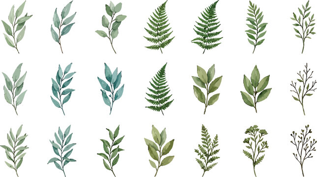Watercolor botanical leaf and fern collection featuring various green foliage elements for natural design projects vector