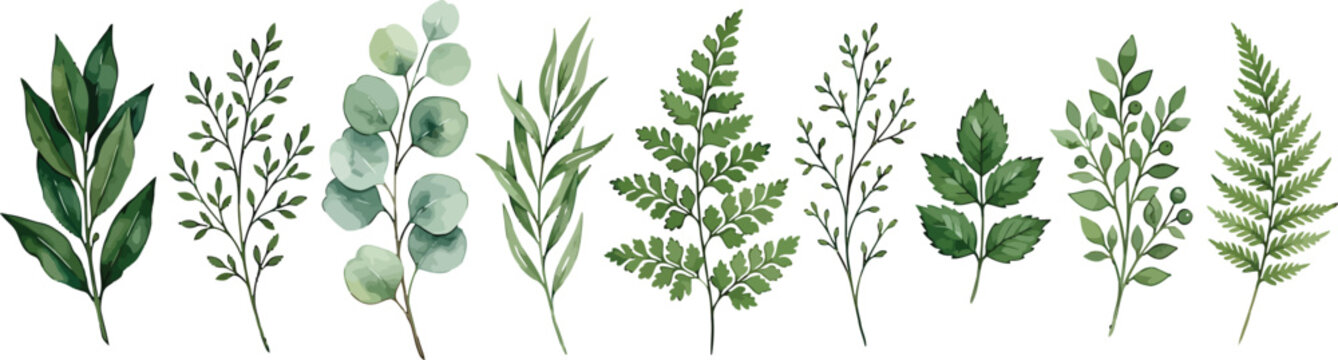 Watercolor green foliage collection featuring various botanical leaves and fern branches isolated on a white background
