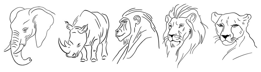 African wildlife animal heads collection in minimalist line art style © Cristiano