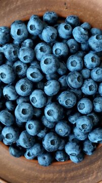 Fresh, ripe, and juicy wild blueberries as an ingredient for vegetarian dishes. Blueberries as a food background for your design
