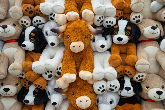 A dense display of various soft plush toys including brown highland cows, black and white dogs, and beige teddy bears. The toys are packed tightly together indoors.