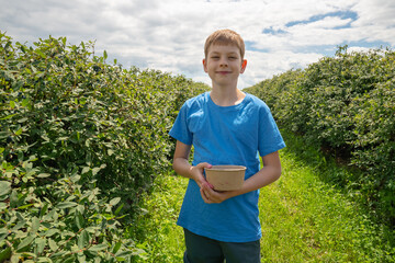 A young boy wearing a blue t-shirt stands between rows of berry bushes on a farm, holding a cardboard bowl while looking at the camera on a sunny day. © JULIA