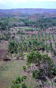 Chocolate Hills
