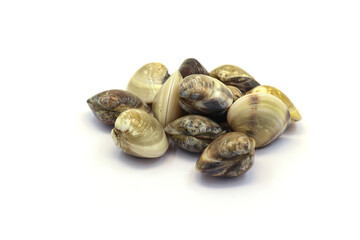 Closed up fresh baby clams. venus shell. shellfish. carpet clams. short necked clams. as raw food from the sea are the seafood ingredients. fresh clams isolated on white background © Pisan