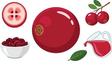 Red cranberry fruit harvest culinary vector illustration set featuring a large whole berry cut cross section dried raisins in a bowl juice pitcher and green leaves isolated on white background © Amina