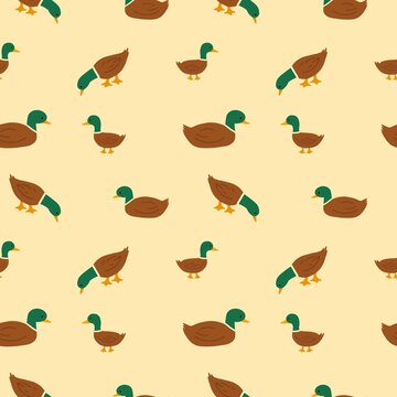 Mallard seamless pattern design