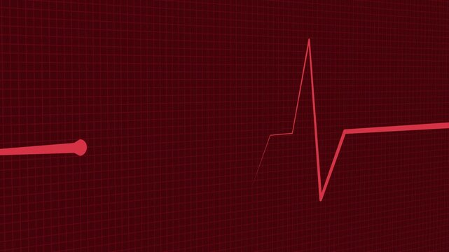 Heartbeat line wave signal showing a medical pulse pattern isolated animation