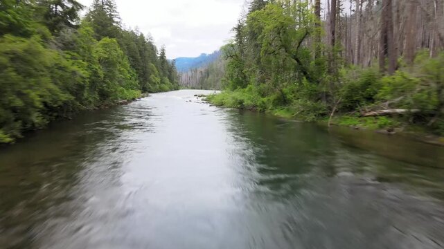 River at the base of the forest