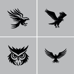 Fototapeta premium Black and white bird design