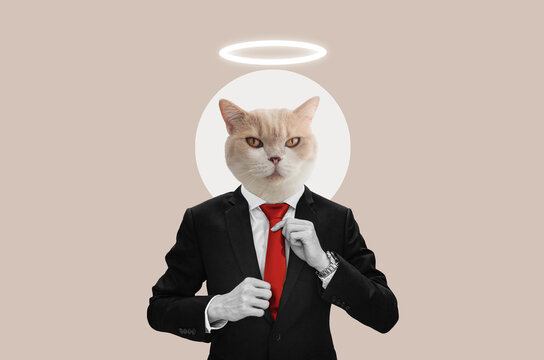 Digital collage modern art, Businessman with cute cat head, with halo