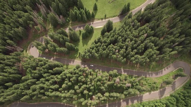 Aerial view of cars driving along the winding Transalpina road through conifer forests in Romania