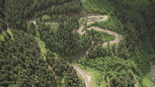Aerial tracking shot of a campervan climbing the winding Transalpina road through conifer forests