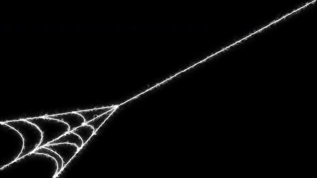 Animated spider web expansion effect with flexible elastic strands, dynamic tension motion design, pulsing cobweb structure and seamless black background horror overlay in ultra 4k loop
