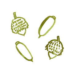 Hand drawn autumn cones and acorns. Watercolour cones and acorns, autumn plants use as print, poster, cards, invitation, stickers, element design, textile, wrapping paper, label, and so on. © daria