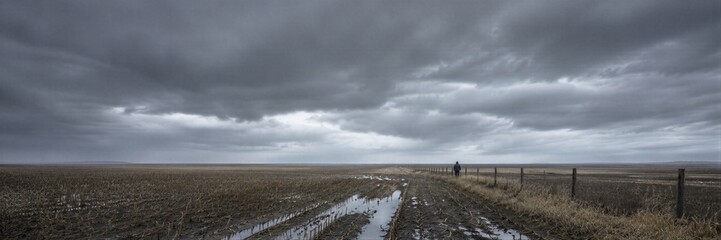 Fototapeta premium Man walking along fence line in flat agricultural field of the Midwest. Stormy clouds over muddy rural landscape after harvest.