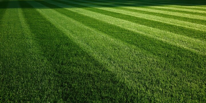 Close up of lush green grass field with striped pattern