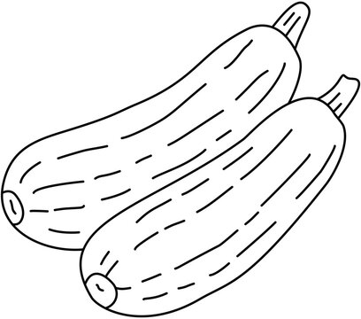 Two Fresh Zucchini Courgettes Green Vegetables Line Art