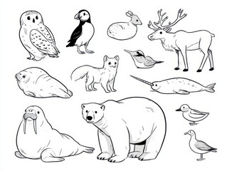 Fototapeta premium Collection of various arctic animals, handdrawn illustration style