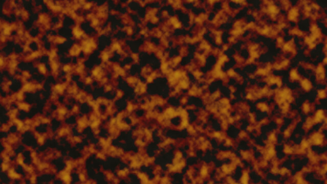 Tortoiseshell pattern background. Abstract brown and black organic texture design.