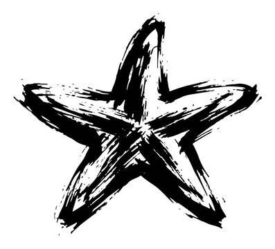 Starfish marine animal for ocean and beach life theme black ink brush sketch vector