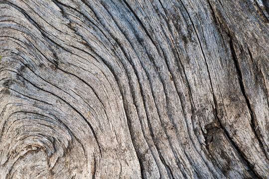 Wood texture shows natural patterns and lines
