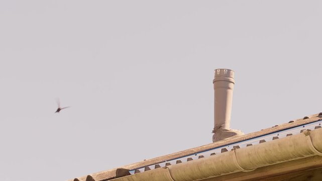 Roof Ventilation Pipe and Rain Gutter Against Clear Sky Background