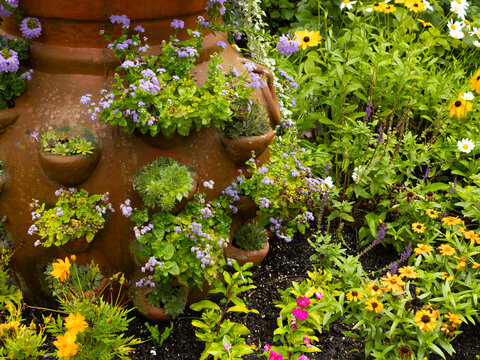 Close Garden View of a Planted Clay Strawberry Container