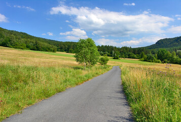 Fototapeta premium A narrow asphalt road through green and yellow grass field with mountains in the background