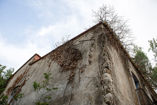 Ruined corner of old Spanish building showing cracked stucco, branches, and vintage electrical mounts