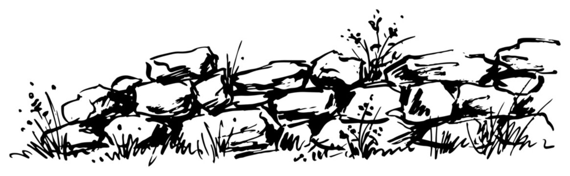 Low stone wall with grass and wildflowers in rustic ink sketch style