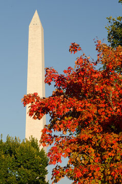 Washington Monument as seen from Tidal Basin in autumn - Washington DC United States of America