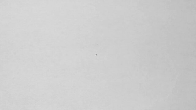 Paper Rip Reveal Transition with Green Screen Chroma Key Overlay