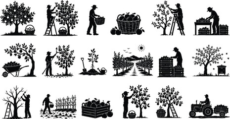 WebApple harvest and fruit orchard silhouette vector icons set with farmers picking apples, trees, and crates © Rubina