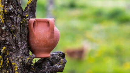 Rustic clay pot placed on a tree trunk © Mar