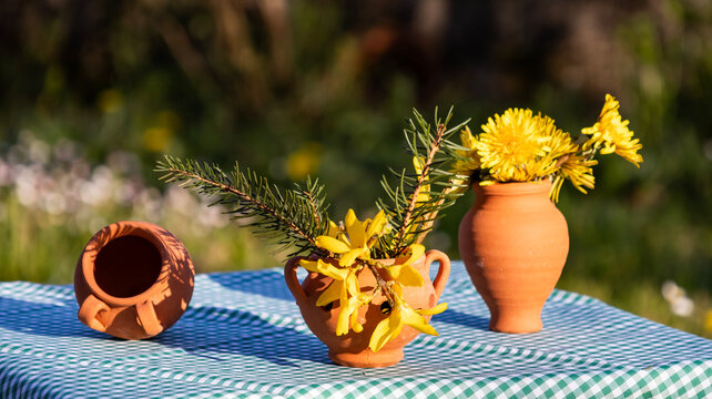 Rustic still life with clay pots and flowers on checkered tablecloth