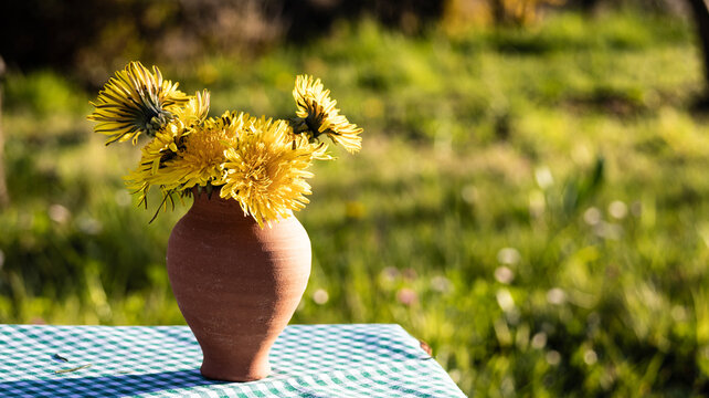 Rustic clay vase with yellow dandelions on picnic tablecloth