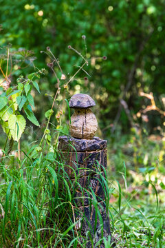Carved wooden mushroom sculpture in forest, Germany, Bavaria, Augsburg, 2 August 2026